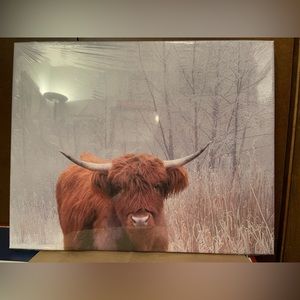 16x20 Highlander Canvas